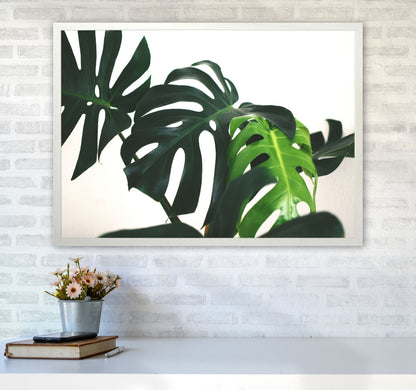 Monstera Leaf Landscape Modern Print, Framed Botanical & Nature Art Print A1 Oak Frame