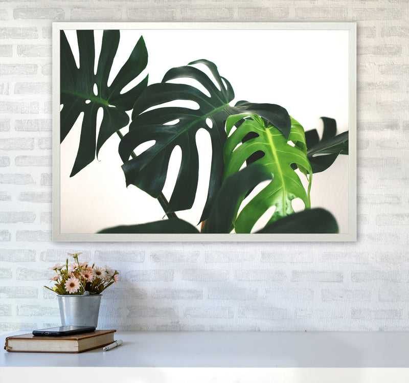 Monstera Leaf Landscape Modern Print, Framed Botanical & Nature Art Print A1 Oak Frame