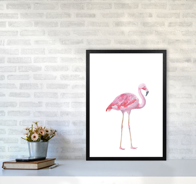 Pink Flamingo Modern Print Animal Art Print A2 White Frame