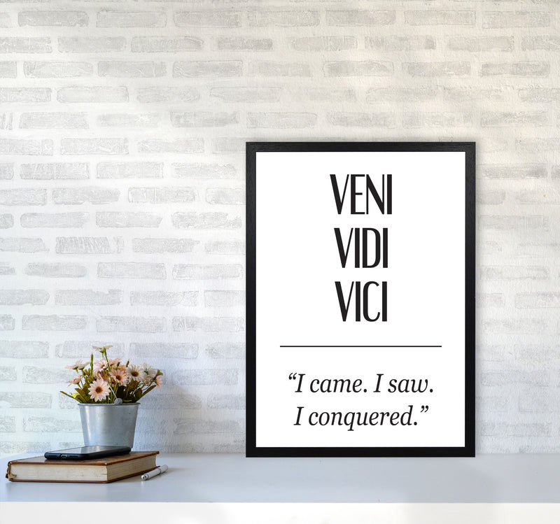 Veni Vidi Vici Modern Print A2 White Frame