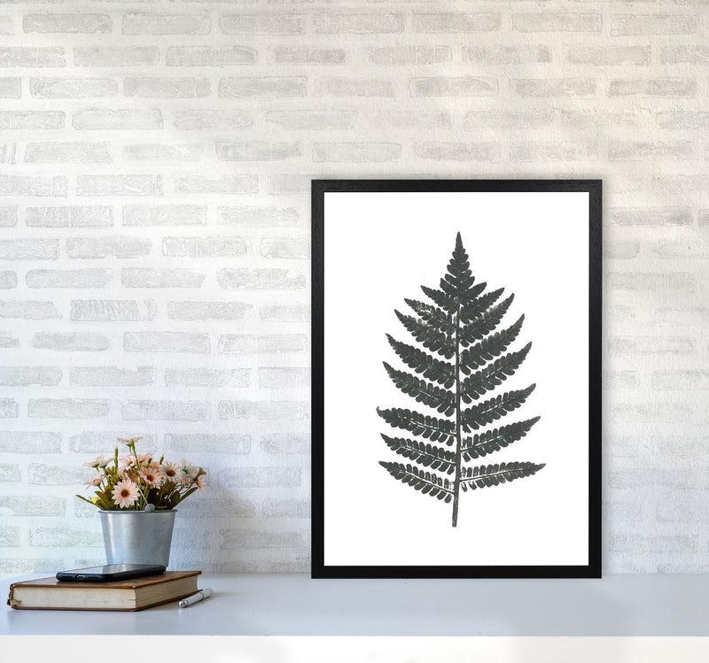 Vintage Fern Modern Print, Framed Botanical & Nature Art Print A2 White Frame