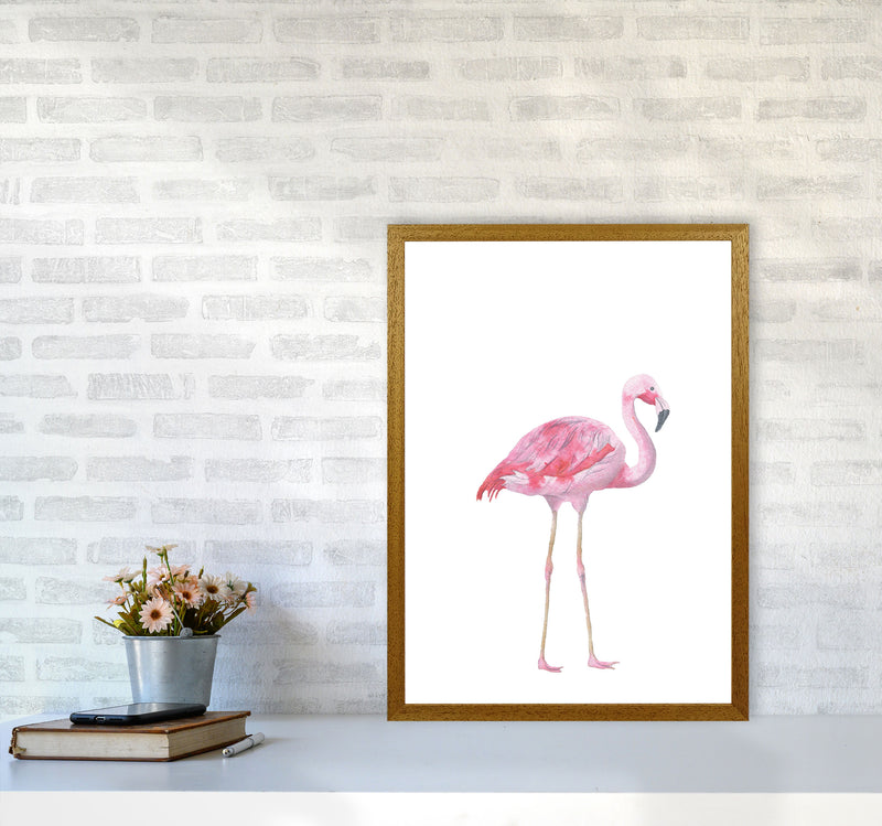 Pink Flamingo Modern Print Animal Art Print A2 Print Only