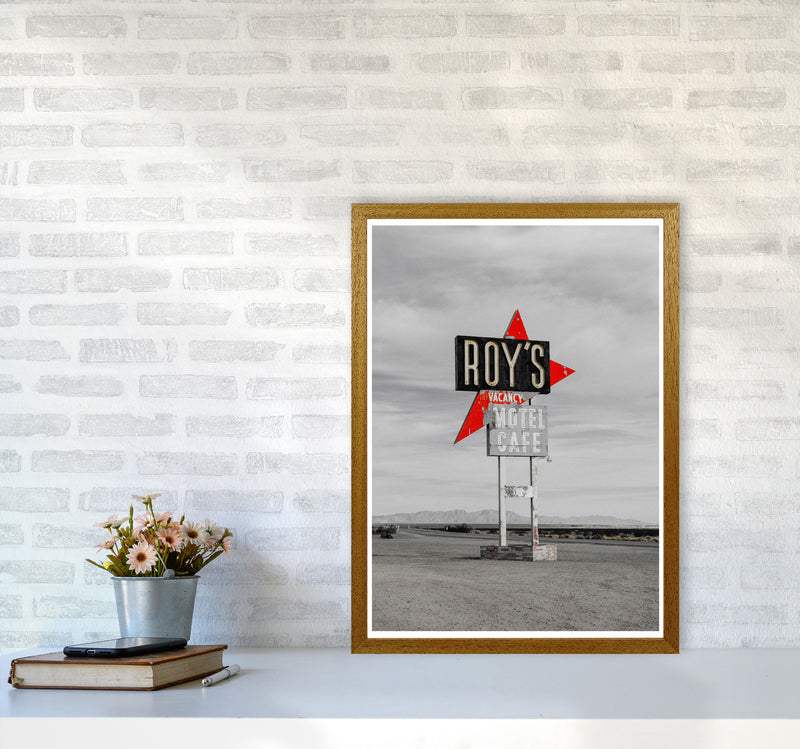 Vintage Roy&