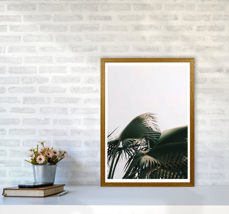 Bushy Palm Leaves Modern Print, Framed Botanical & Nature Art Print A2 Print Only
