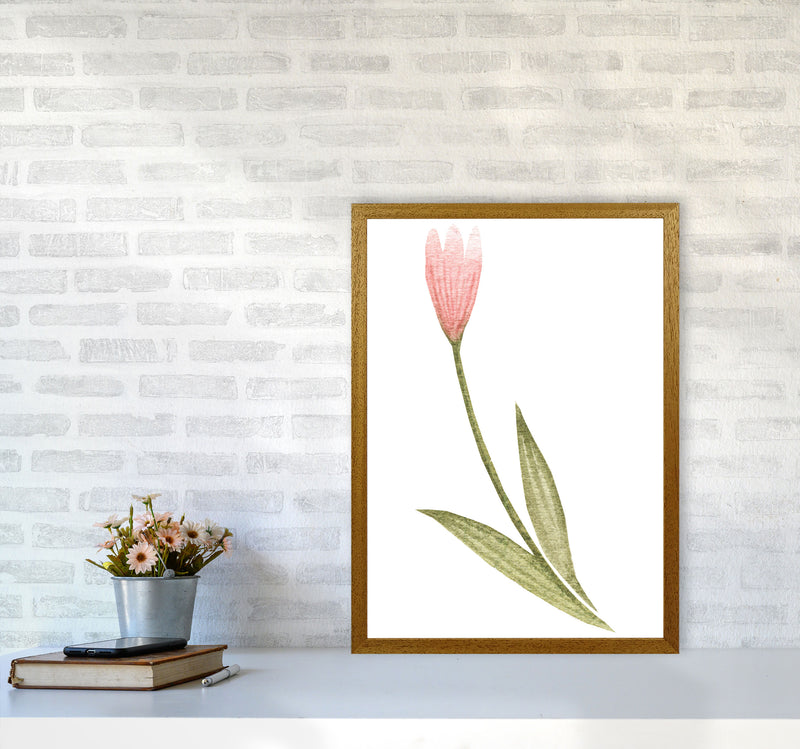 Pink Watercolour Flower 3 Modern Print A2 Print Only