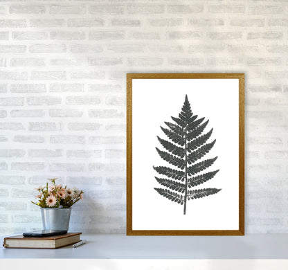 Vintage Fern Modern Print, Framed Botanical & Nature Art Print A2 Print Only