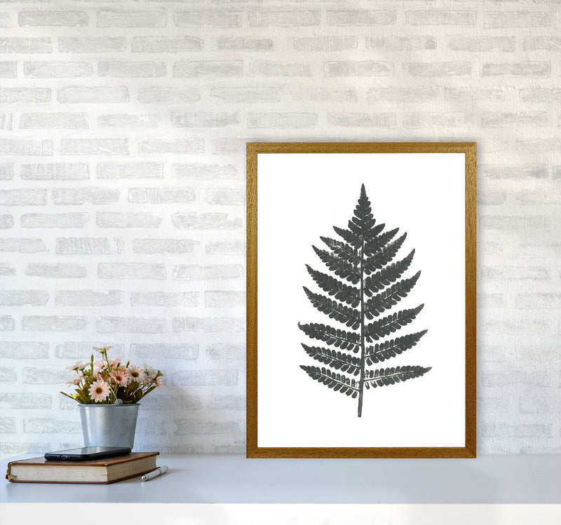 Vintage Fern Modern Print, Framed Botanical & Nature Art Print A2 Print Only
