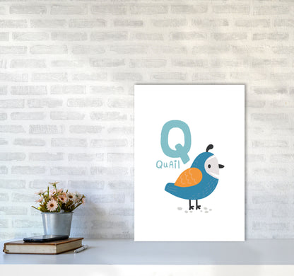 Alphabet Animals, Q Is For Quail Framed Nursey Wall Art Print A2 Black Frame