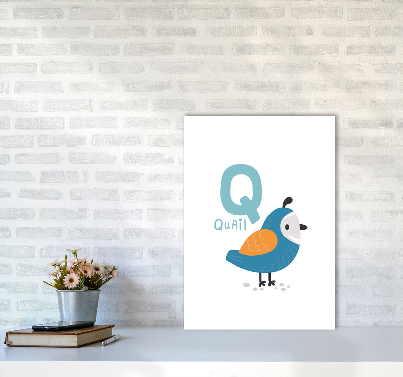Alphabet Animals, Q Is For Quail Framed Nursey Wall Art Print A2 Black Frame