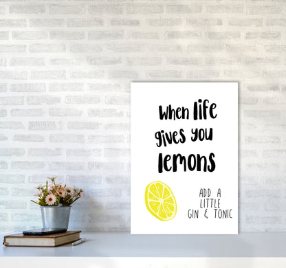 Humorous Gin Sayings Multi Set Kitchen Typography Wall Art A2 Black Frame