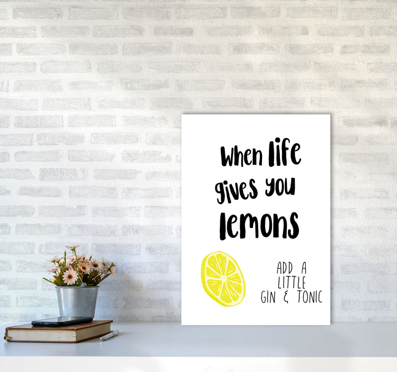 Humorous Gin Sayings Multi Set Kitchen Typography Wall Art A2 Black Frame