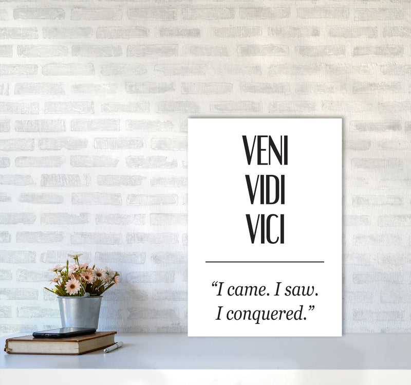 Veni Vidi Vici Modern Print A2 Black Frame