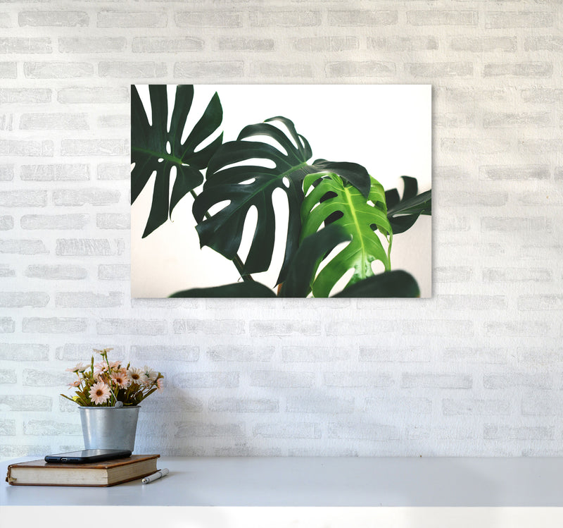 Monstera Leaf Landscape Modern Print, Framed Botanical & Nature Art Print A2 Black Frame