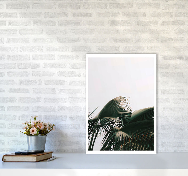 Bushy Palm Leaves Modern Print, Framed Botanical & Nature Art Print A2 Black Frame
