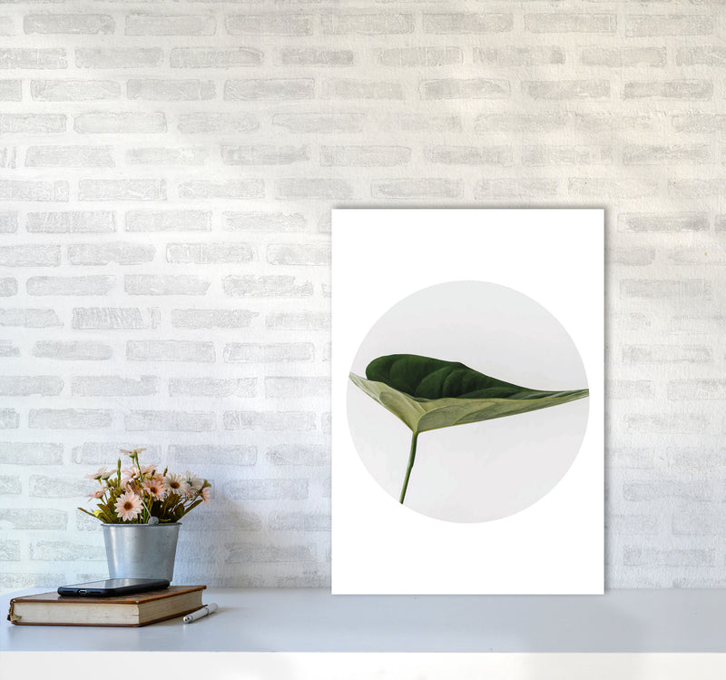 Doc Leaf Modern Print, Framed Botanical & Nature Art Print A2 Black Frame