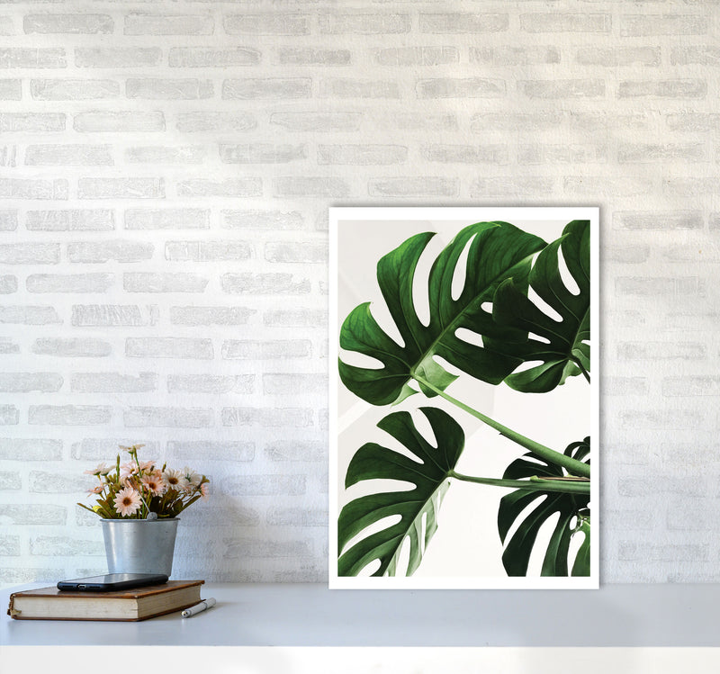 Monstera Leaf Modern Print, Framed Botanical & Nature Art Print A2 Black Frame