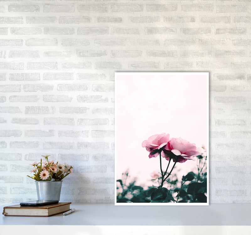 Pink Rose Modern Print, Framed Botanical & Nature Art Print A2 Black Frame