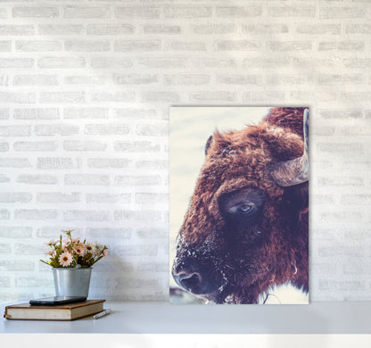 Bull Modern Print Animal Art Print A2 Black Frame