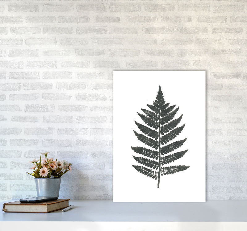 Vintage Fern Modern Print, Framed Botanical & Nature Art Print A2 Black Frame