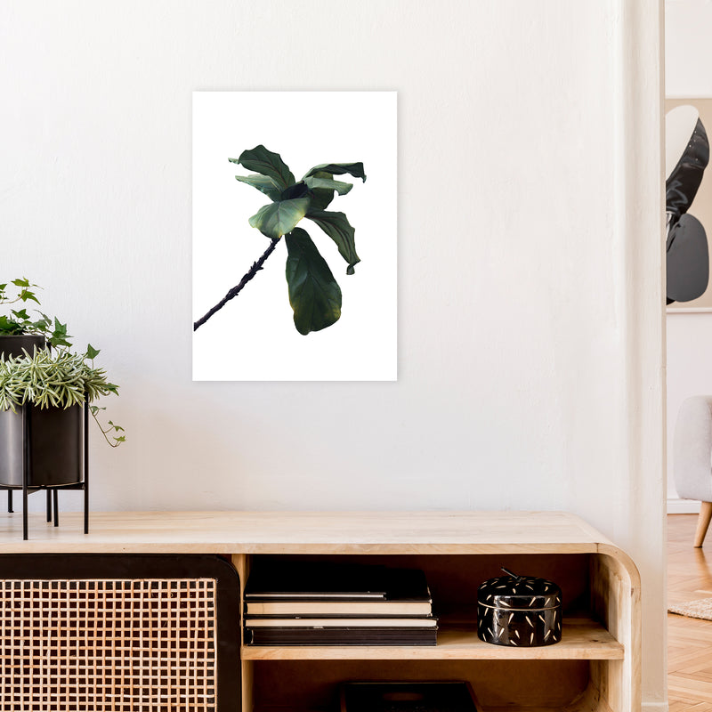 Plant Head Part Two  Art Print by Pixy Paper A2 Black Frame