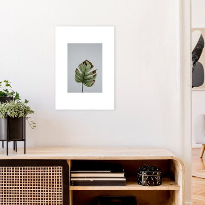 Old Leaf Grey Box  Art Print by Pixy Paper A2 Black Frame