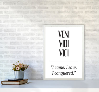 Veni Vidi Vici Modern Print A2 Oak Frame