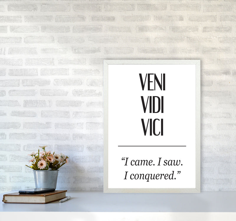 Veni Vidi Vici Modern Print A2 Oak Frame