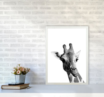 Black And White Giraffe Modern Print Animal Art Print A2 Oak Frame