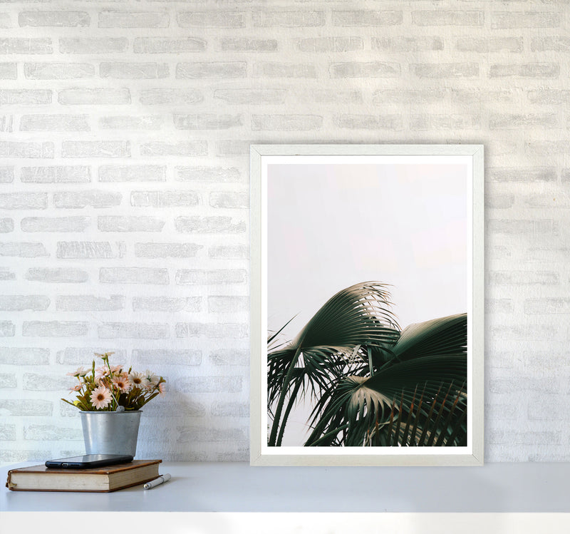 Bushy Palm Leaves Modern Print, Framed Botanical & Nature Art Print A2 Oak Frame