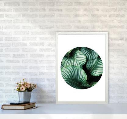 Green Leaves Circle Modern Print, Framed Botanical & Nature Art Print A2 Oak Frame