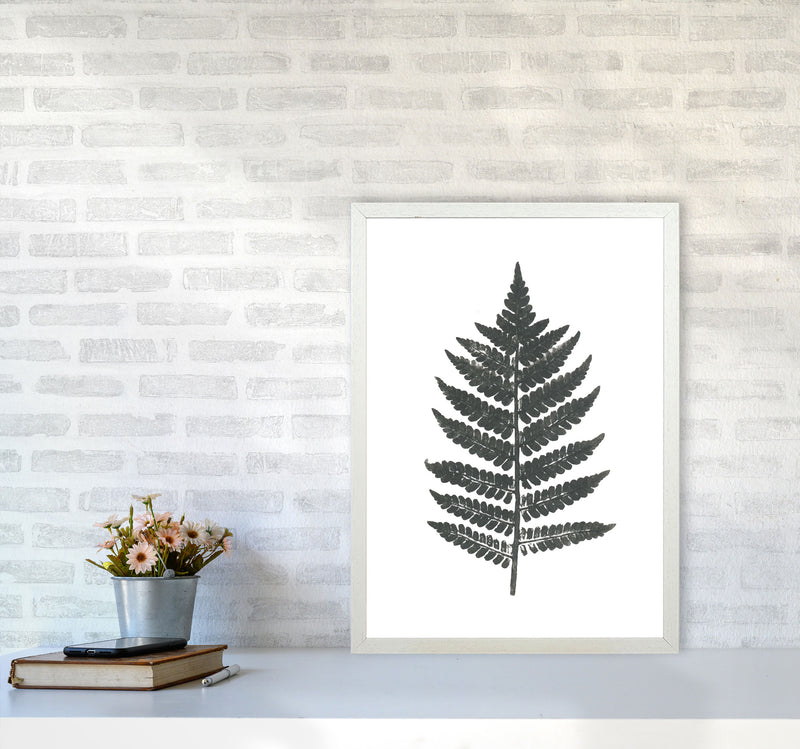 Vintage Fern Modern Print, Framed Botanical & Nature Art Print A2 Oak Frame