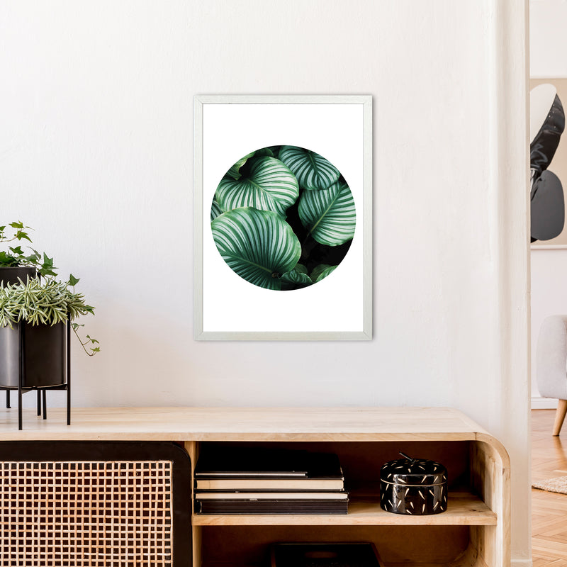 Green Leaf Circle Window  Art Print by Pixy Paper A2 Oak Frame