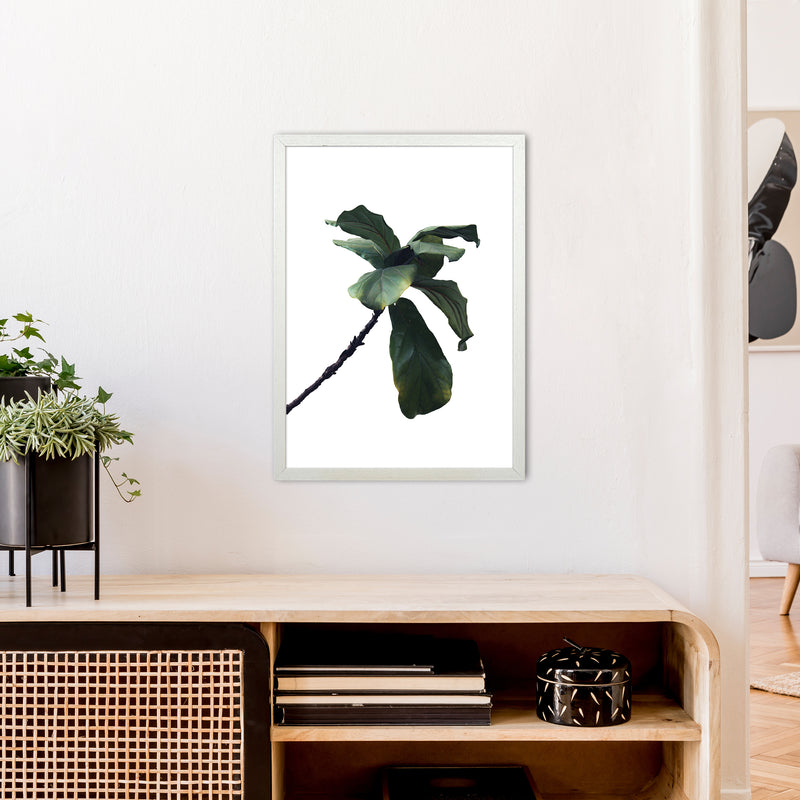 Plant Head Part Two  Art Print by Pixy Paper A2 Oak Frame