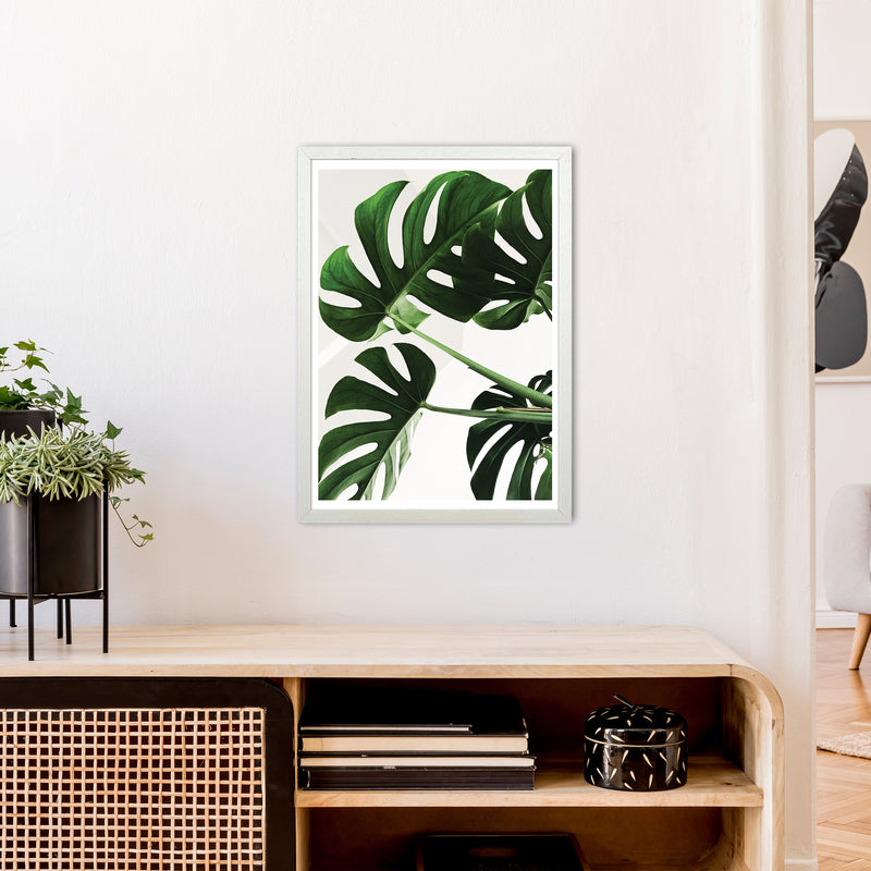 Monstera Leaf  Art Print by Pixy Paper A2 Oak Frame