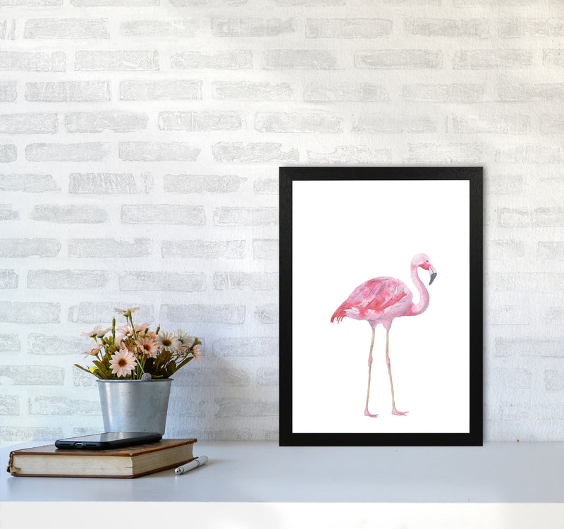 Pink Flamingo Modern Print Animal Art Print A3 White Frame