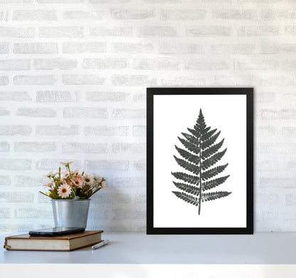 Vintage Fern Modern Print, Framed Botanical & Nature Art Print A3 White Frame