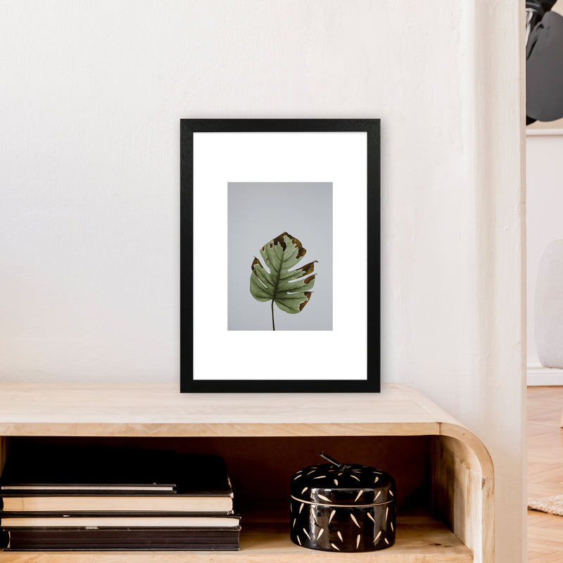 Old Leaf Grey Box  Art Print by Pixy Paper A3 White Frame