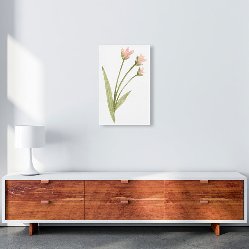 Pink Watercolour Flower 1 Modern Print A3 Canvas