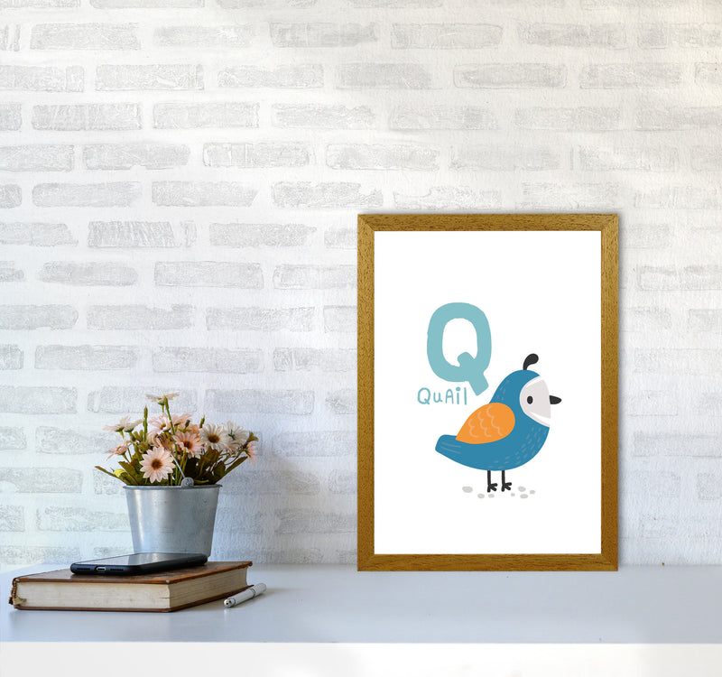 Alphabet Animals, Q Is For Quail Framed Nursey Wall Art Print A3 Print Only