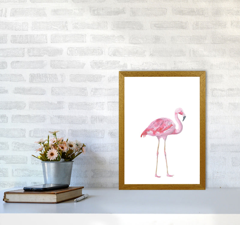 Pink Flamingo Modern Print Animal Art Print A3 Print Only