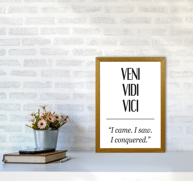 Veni Vidi Vici Modern Print A3 Print Only
