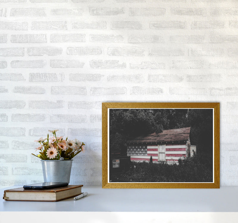 USA Hut Modern Print A3 Print Only