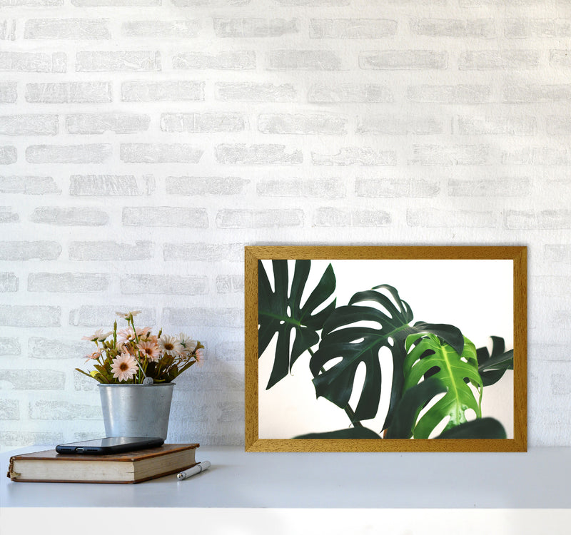 Monstera Leaf Landscape Modern Print, Framed Botanical & Nature Art Print A3 Print Only