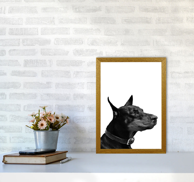 Black And White Dog Modern Print Animal Art Print A3 Print Only