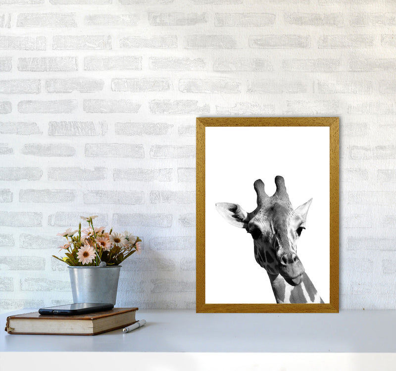Black And White Giraffe Modern Print Animal Art Print A3 Print Only