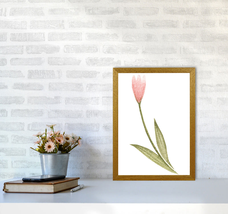 Pink Watercolour Flower 3 Modern Print A3 Print Only