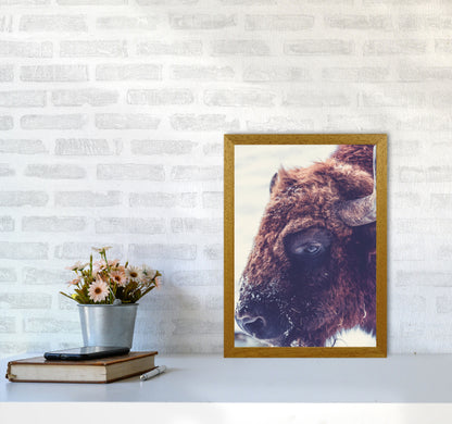 Bull Modern Print Animal Art Print A3 Print Only