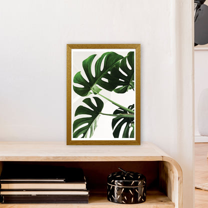 Monstera Leaf  Art Print by Pixy Paper A3 Print Only