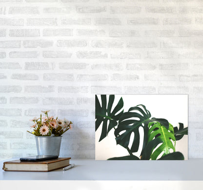 Monstera Leaf Landscape Modern Print, Framed Botanical & Nature Art Print A3 Black Frame