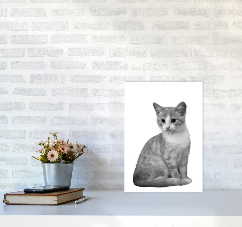 Black And White Cat Modern Print Animal Art Print A3 Black Frame